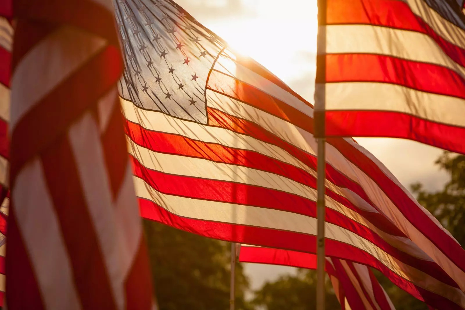 Douglas County Public Servants